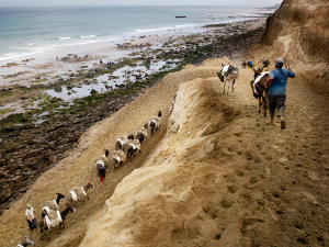 Pillage du sable au Maroc (7)
